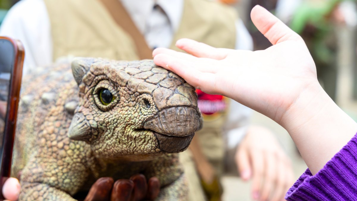 まっぷる編集部【公式】 tweet media