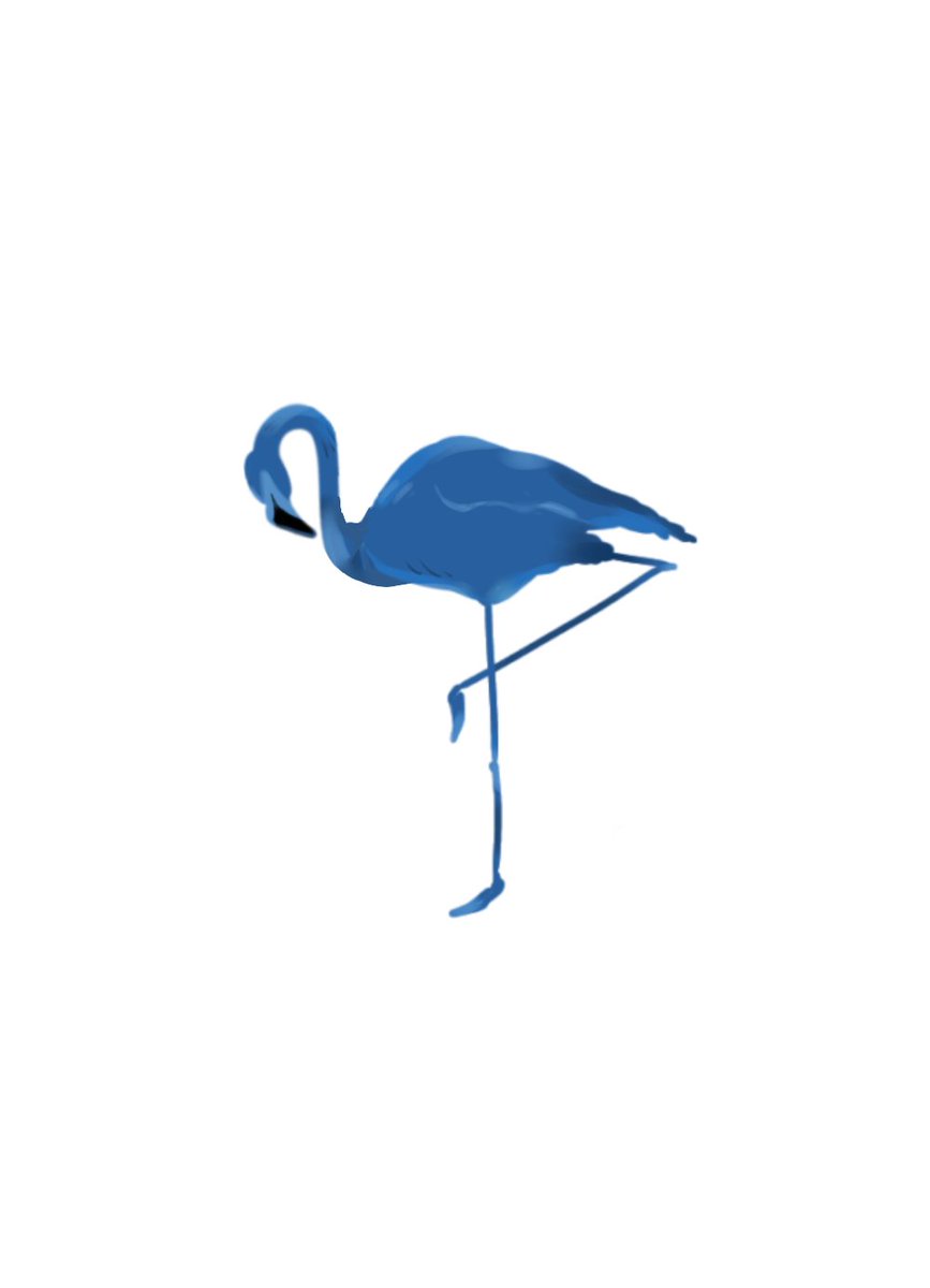 ヌヌ🦩プライド tweet media