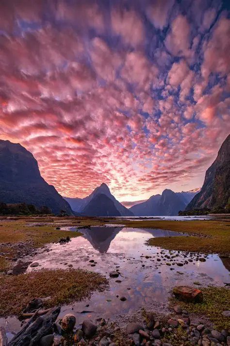 Art - Photography and Music tweet media