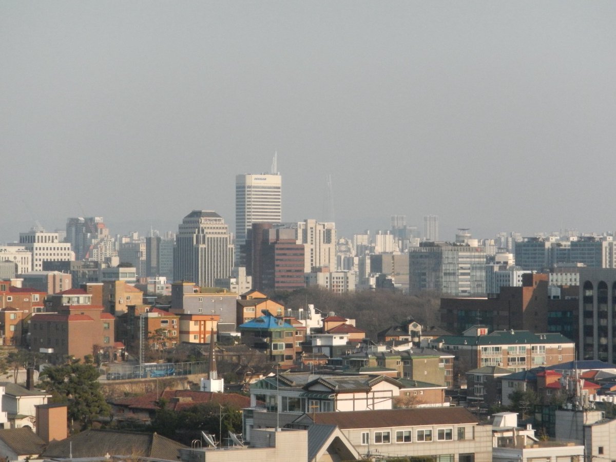 새파란 tweet media