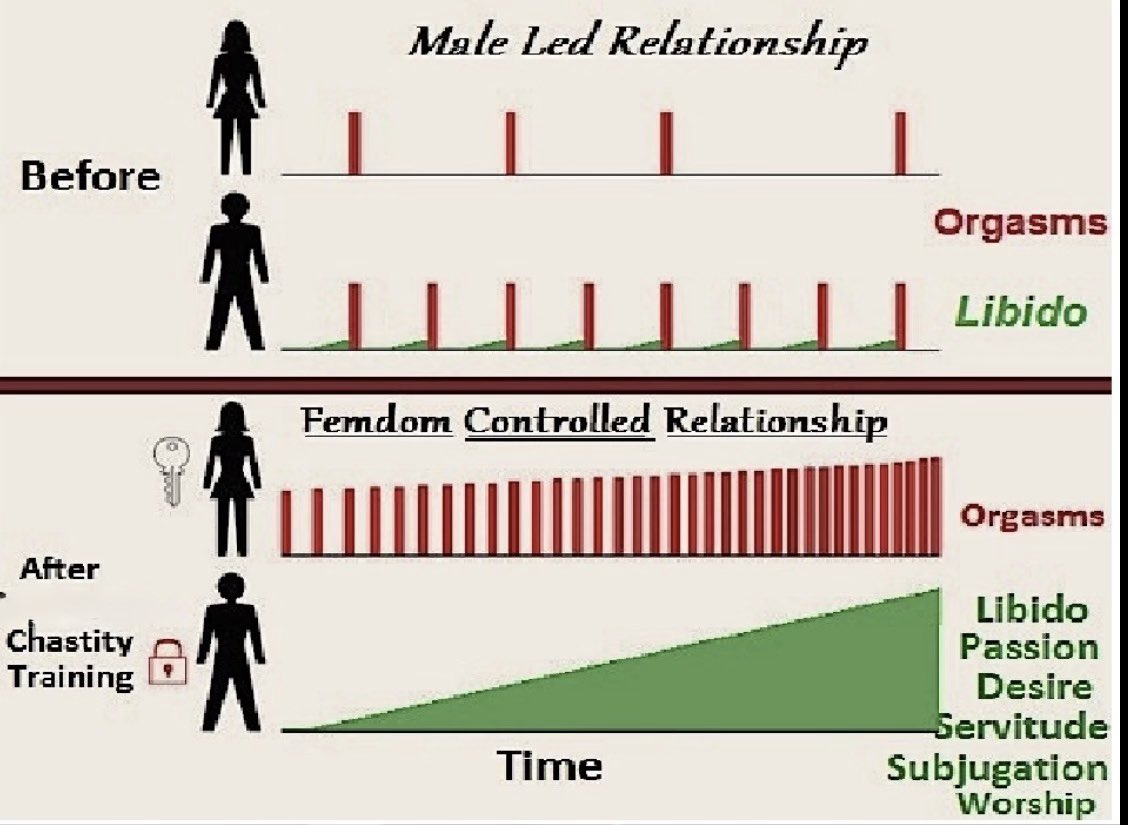M S B ‘s Bitch tweet media