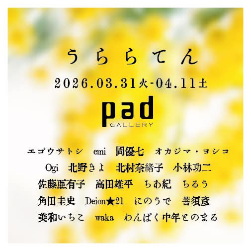 わんぱく中年とのまる tweet media