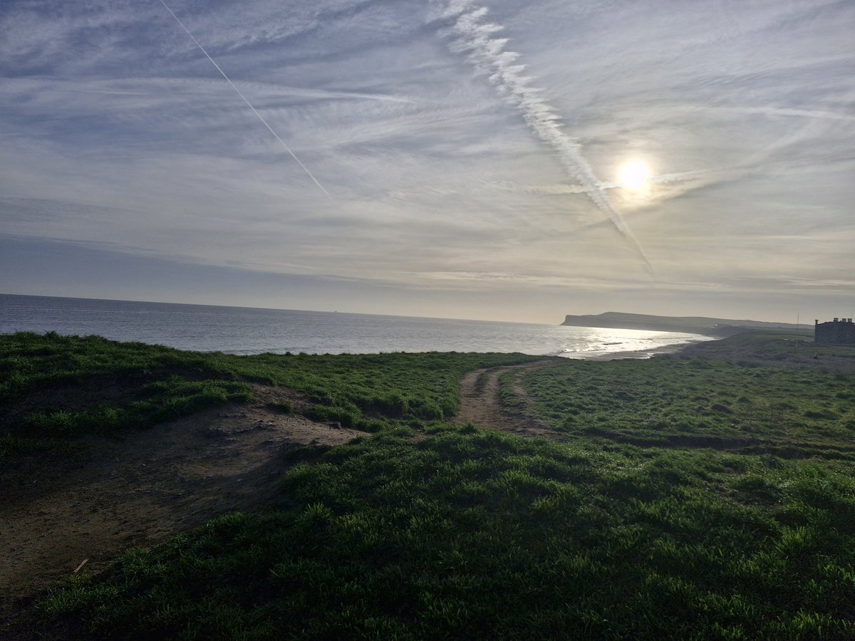 SCANNERMAN tweet media