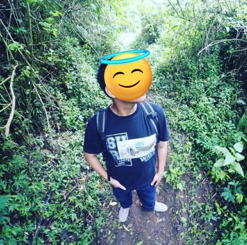 MixueEnak tweet media