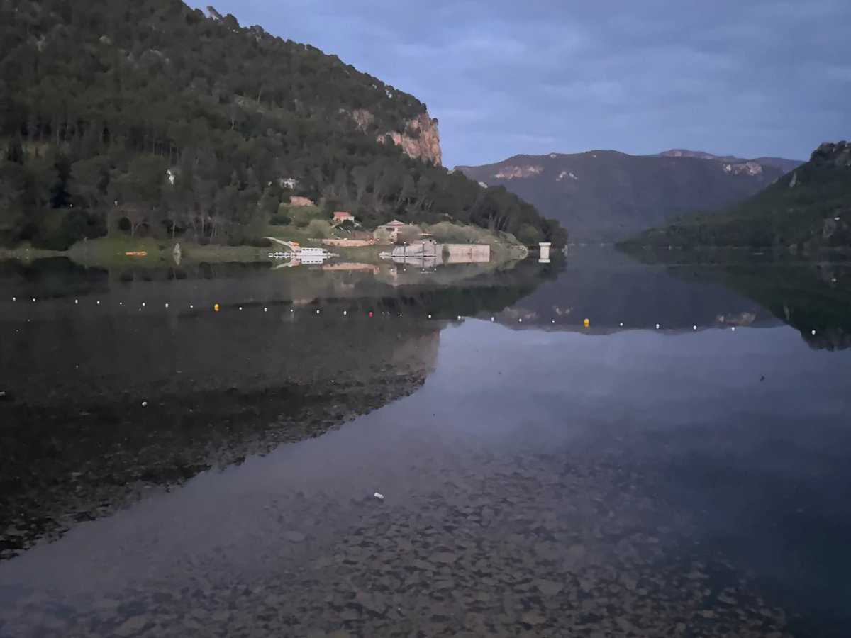 Eduardo Alvarado tweet media