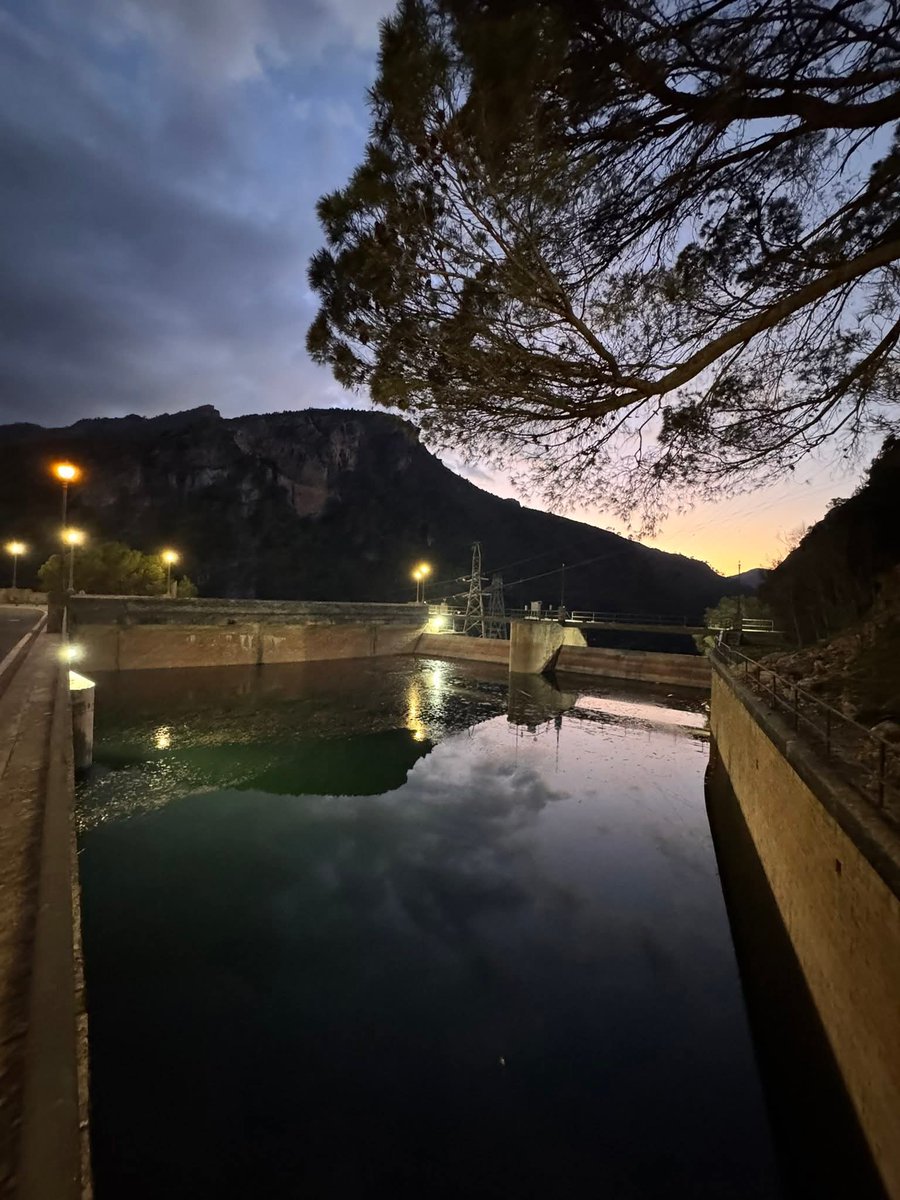 Eduardo Alvarado tweet media