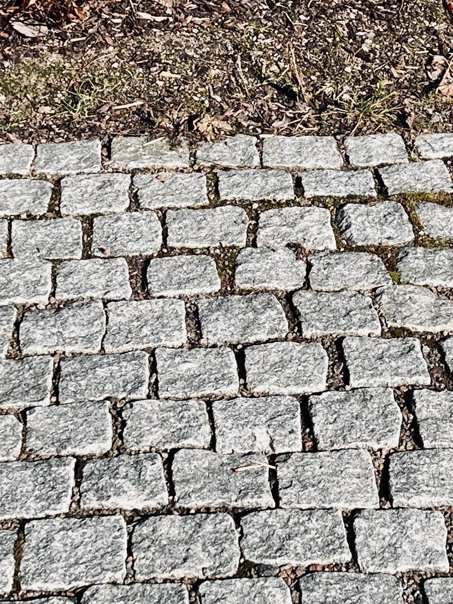 Elinsdotter 🇸🇪🇺🇦🇨🇦🇬🇱🇪🇺 tweet media