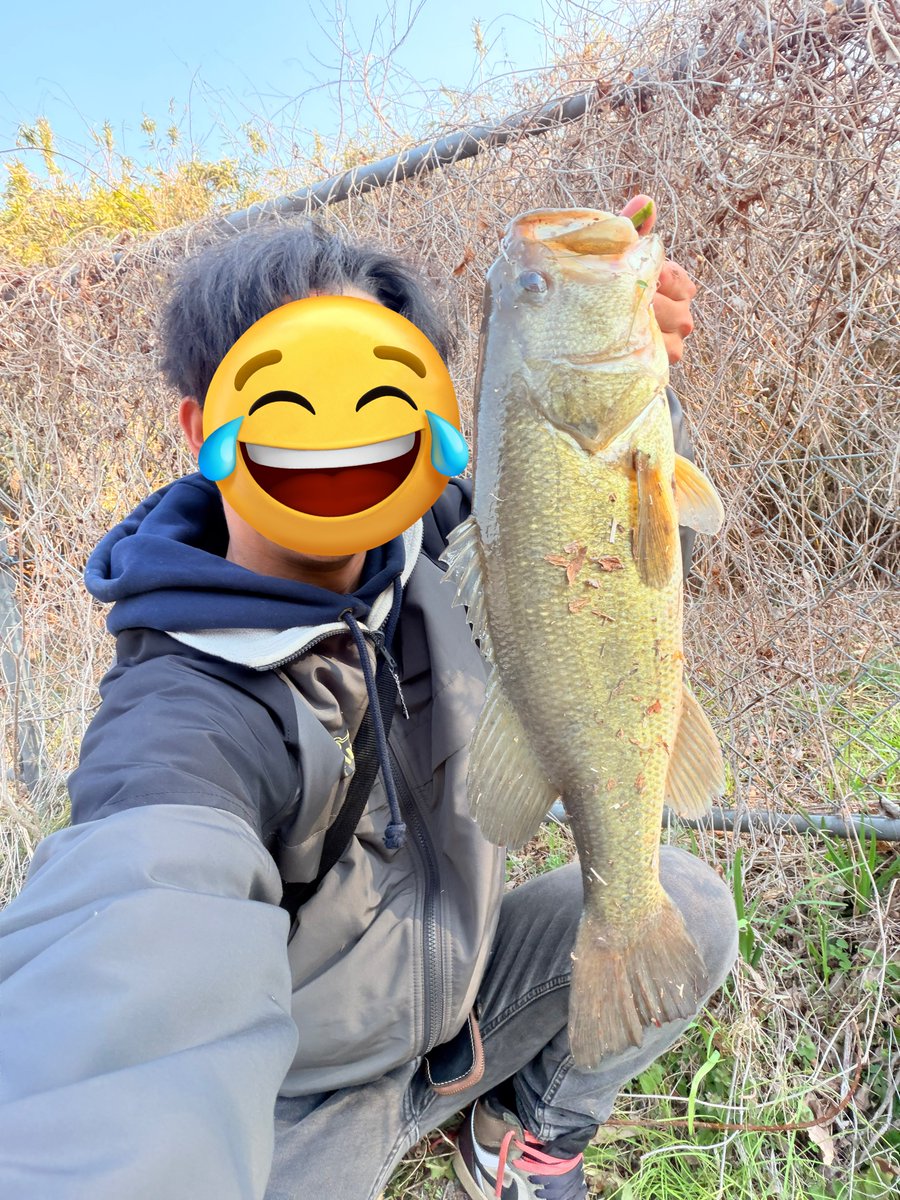 deps_max's tweet photo. アシ打ちでぶち抜き50UP出ました笑
デカすぎてビビった😂😂 https://t.co/csw2BvRY9D