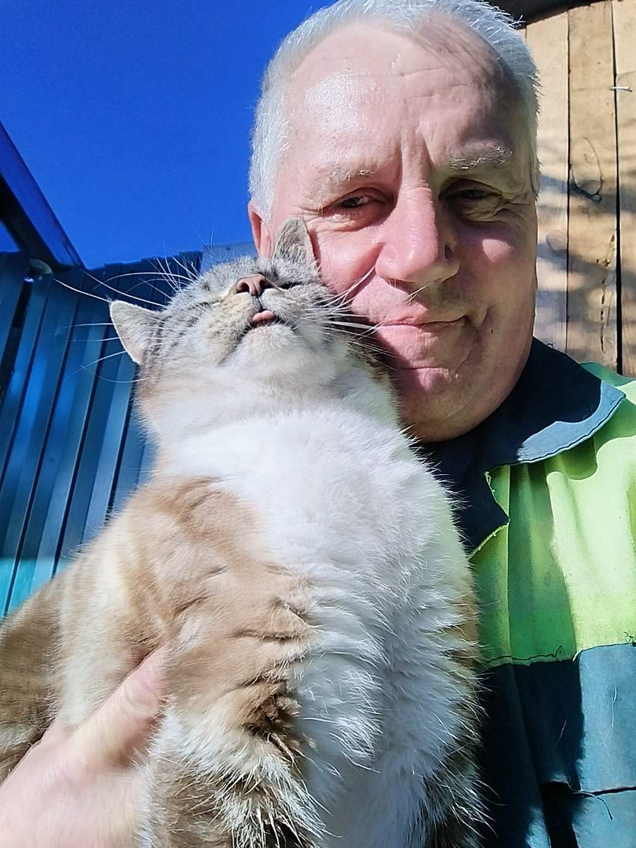 Кот Шурик из Беловежской пущи и его большая семья tweet media