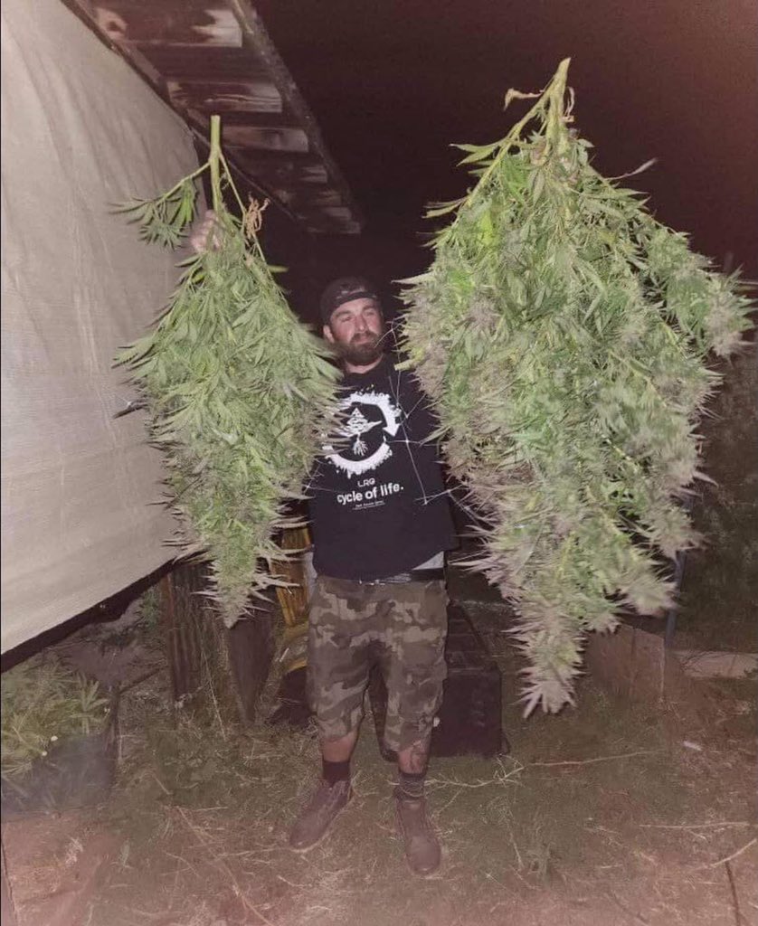 Bud Box puff tweet media