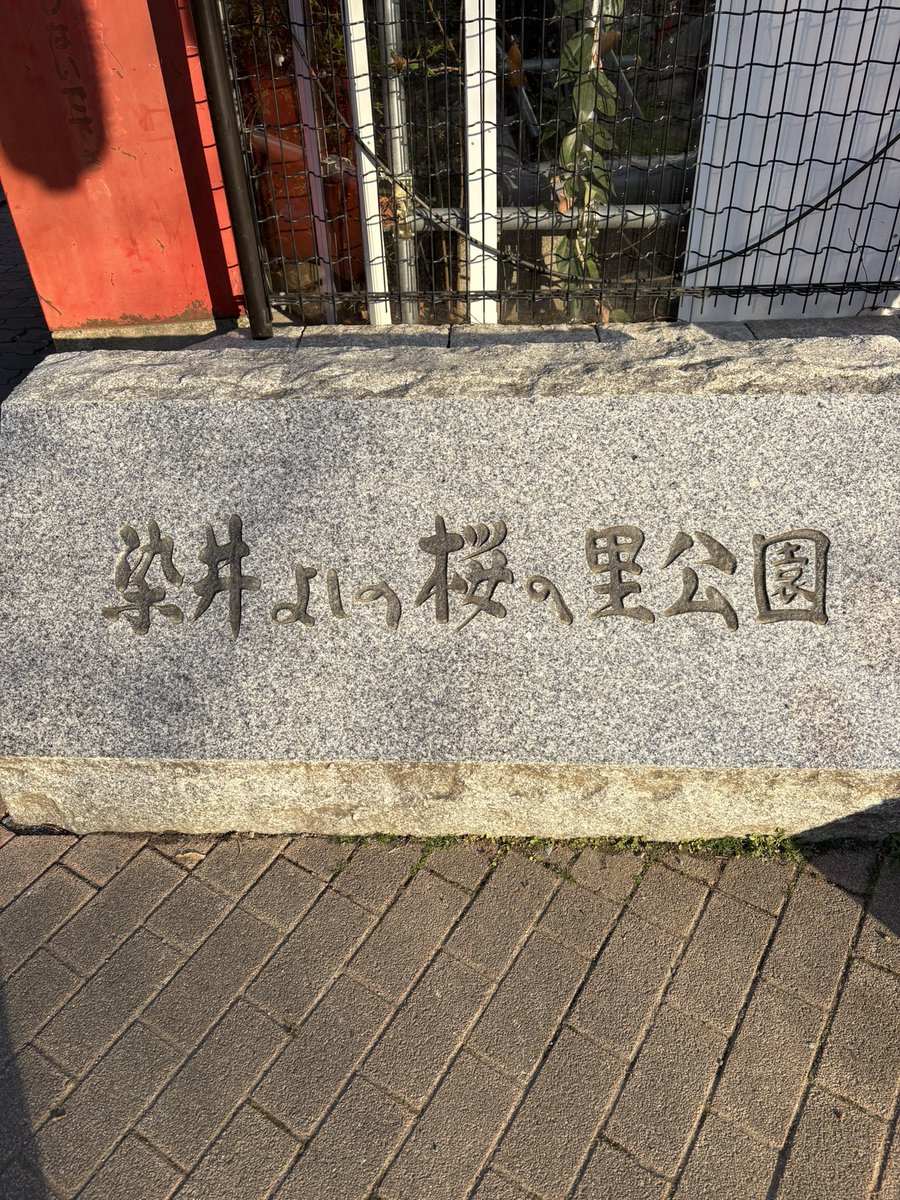 pentaro2010's tweet photo. 染井吉野発祥の地に来ています。
まだ咲き始めたばかりですが、西福寺脇の道の桜は開花が進んでいました。染井よしの桜まつりの幟と提灯に映えていました。三分咲きくらいかな？河津桜は葉桜、大島桜はソメイヨシノよりは開花が早く緑の萼とともに見栄えがしました。
2026年3月23日 東京都 https://t.co/wC893qepBR