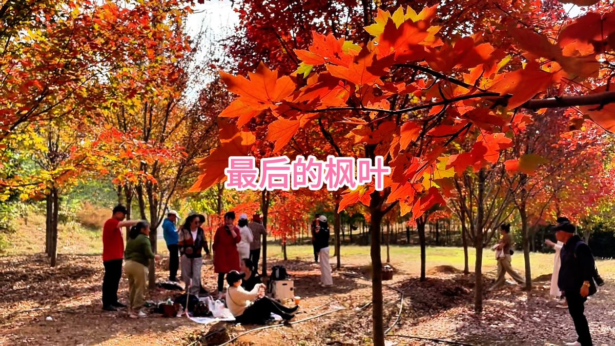 Jennie Lindner tweet media