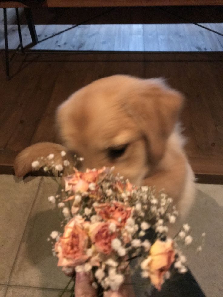 สมเด้นชน์ ૮ ◜◡◝.ა⁩ tweet media