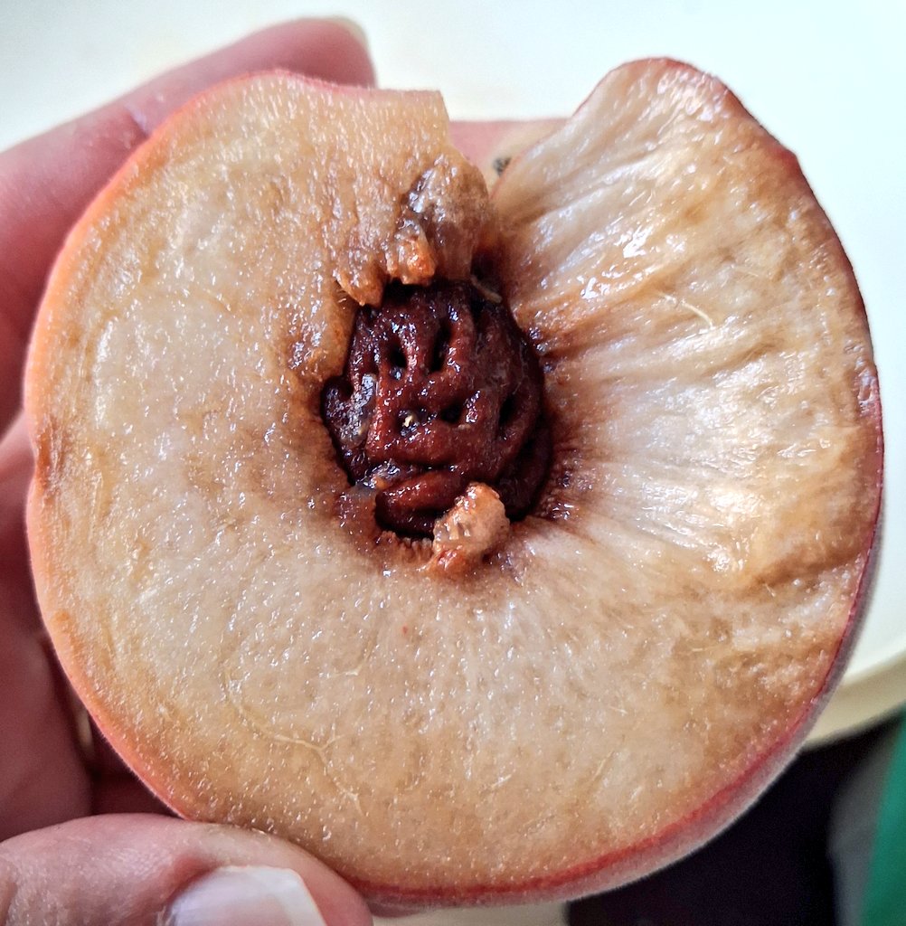 Agvocate_Au tweet media