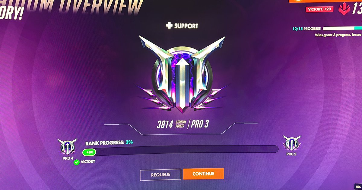 ʚ sol ⌇ juno ɞ tweet media