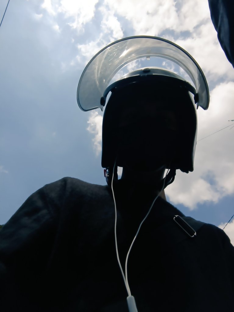 jan 🦈 tweet media