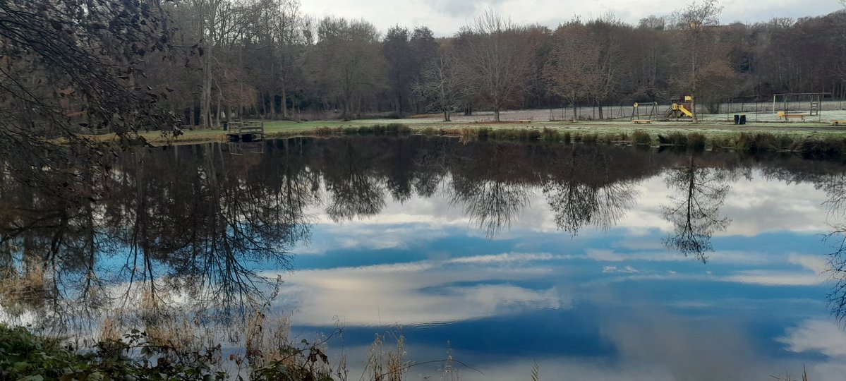 Pascalpatam ♋️ tweet media