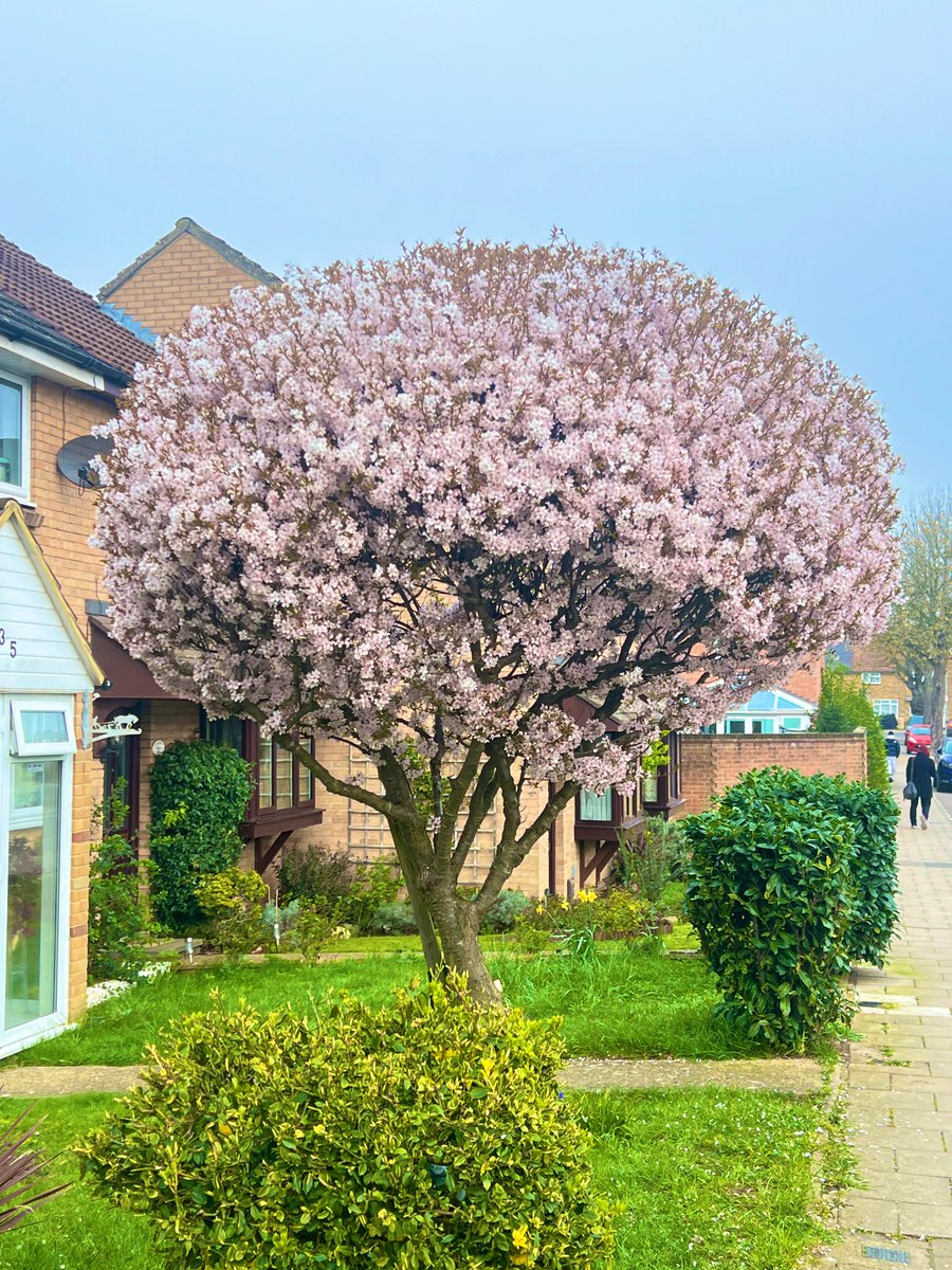 Idris Ayinde, ACA, CFA tweet media