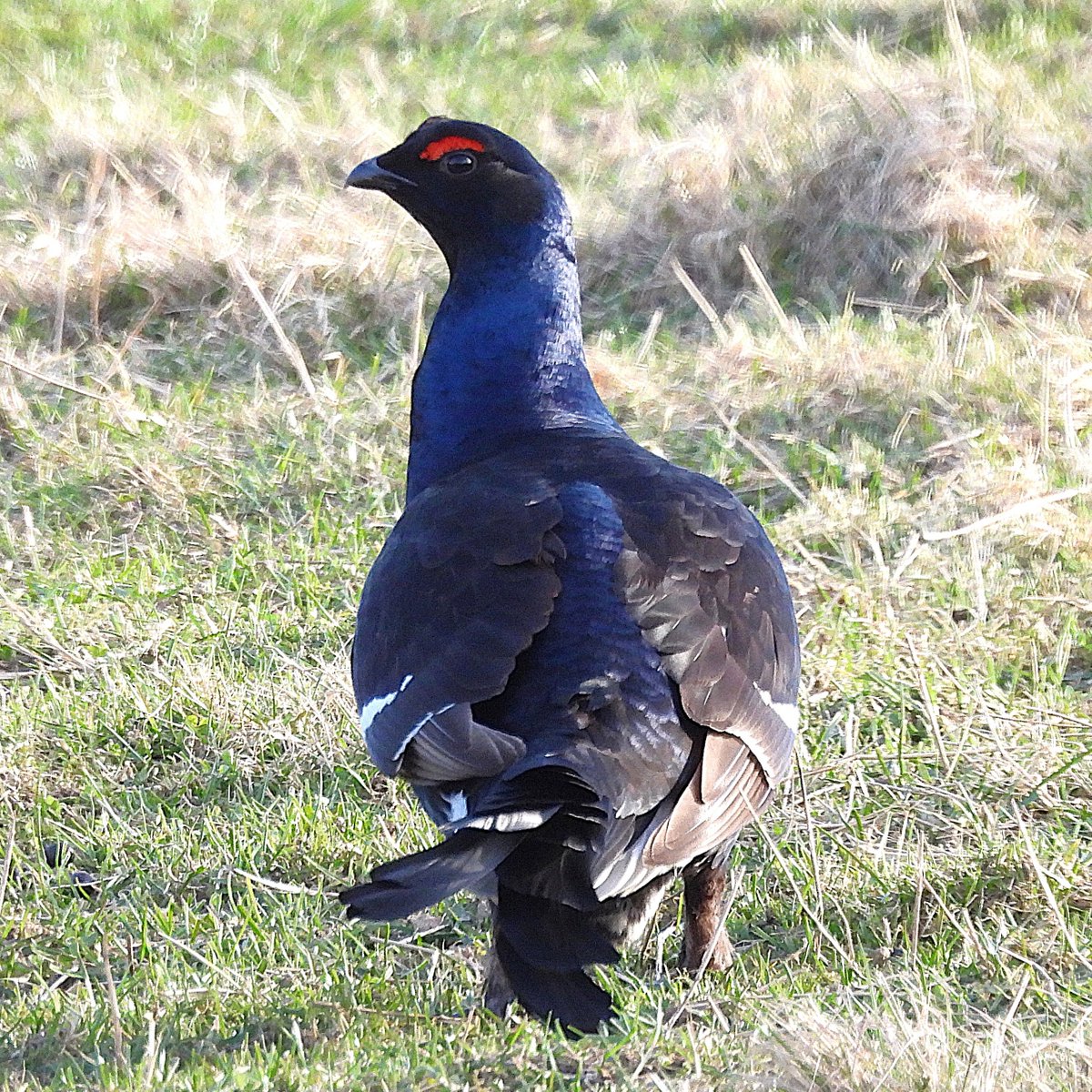 Andy Paton @andypaton.bsky.social tweet media