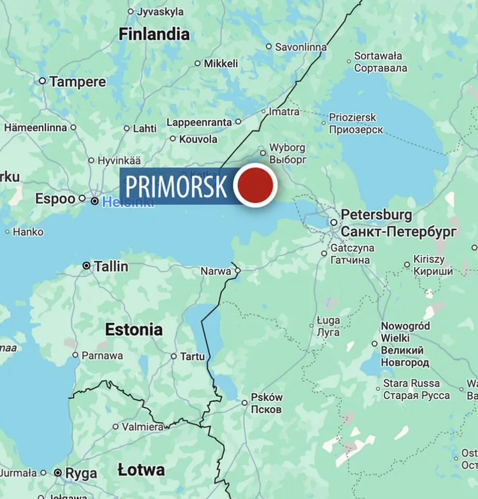 Metakognita tweet media