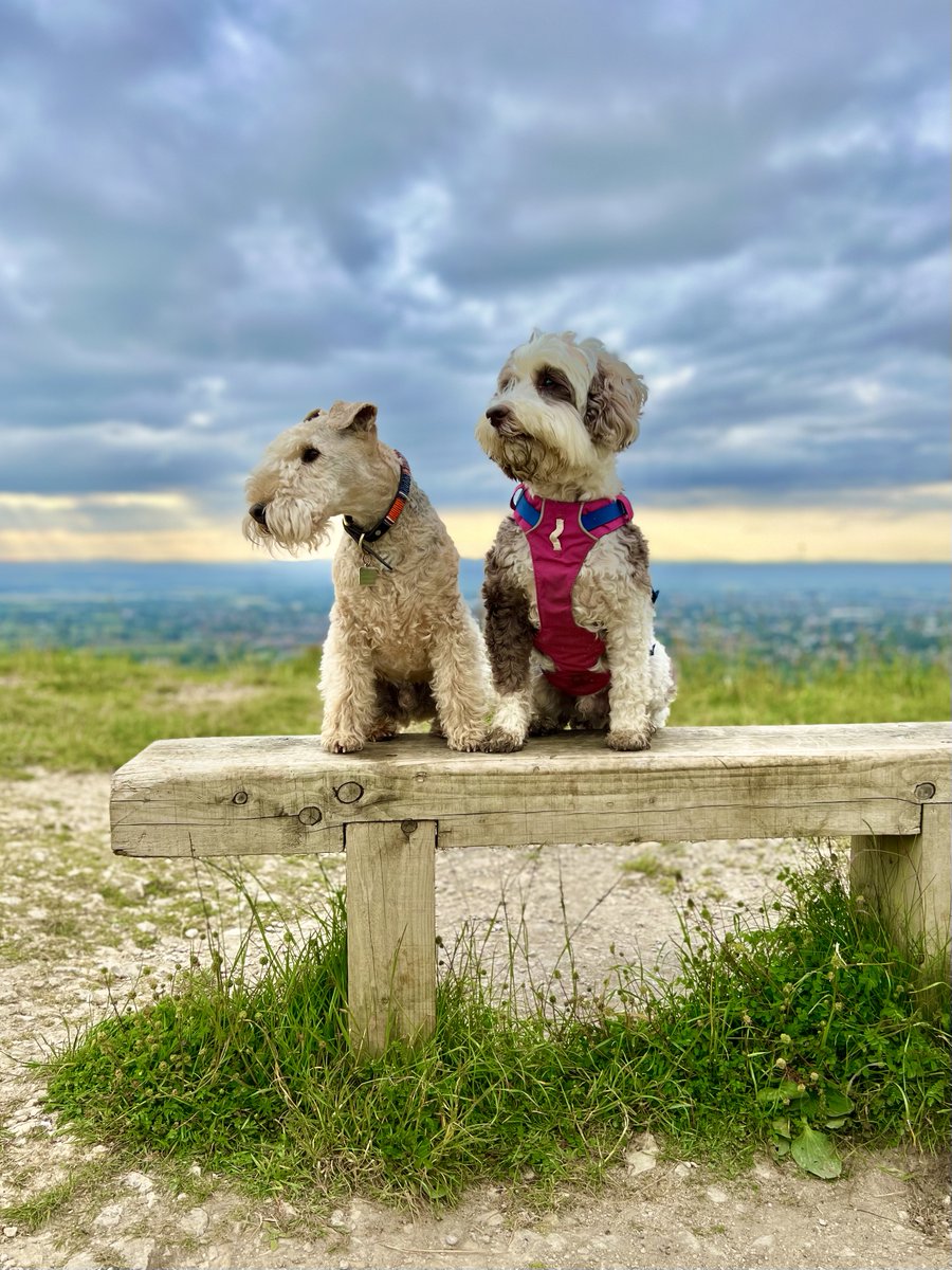 Bertie Lakeland tweet media