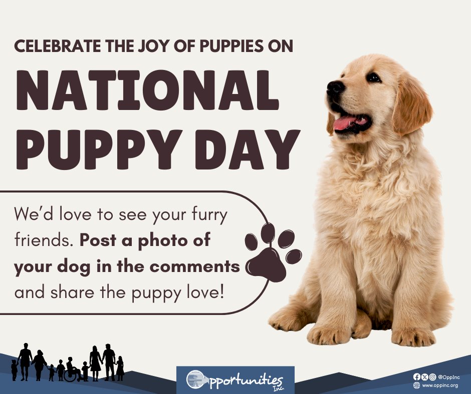 Opportunities, Inc. tweet media