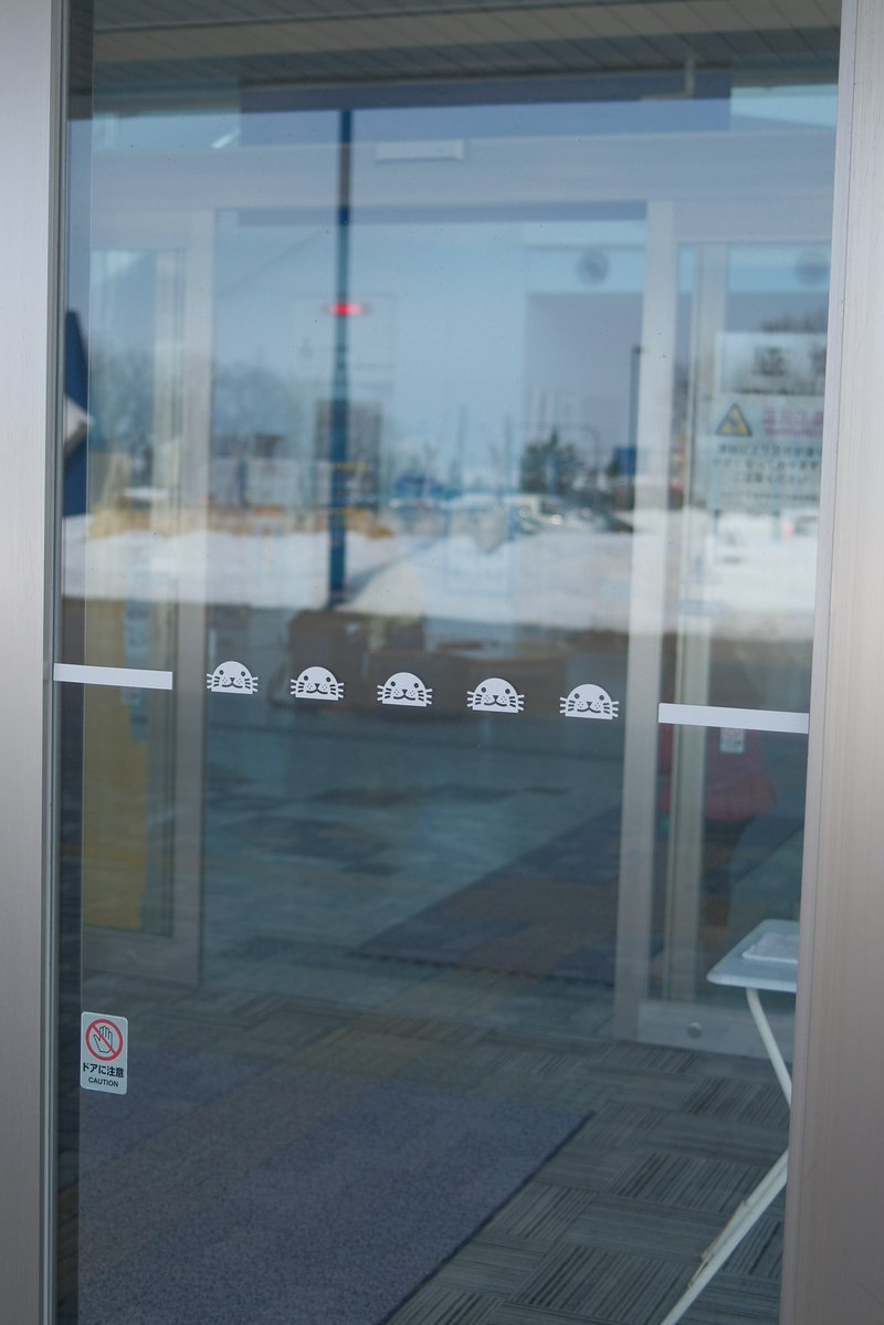 🦭ウィスタリア🦭 tweet media