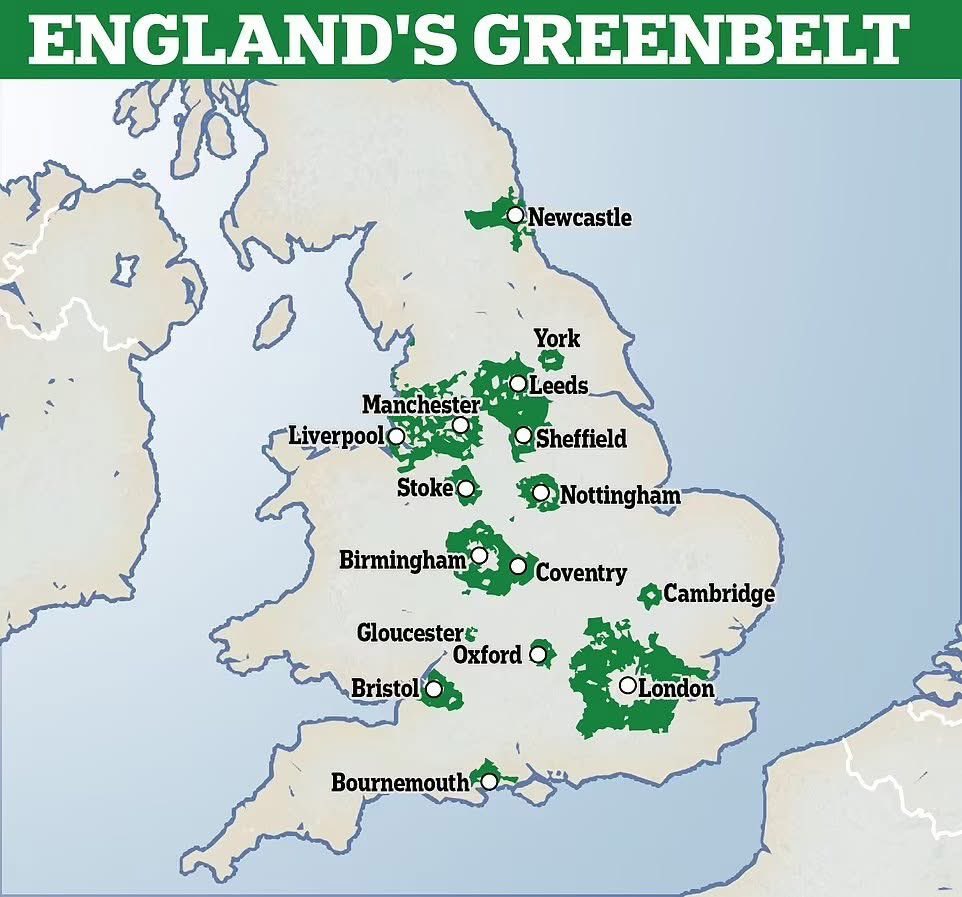 Daniel Lismore tweet media