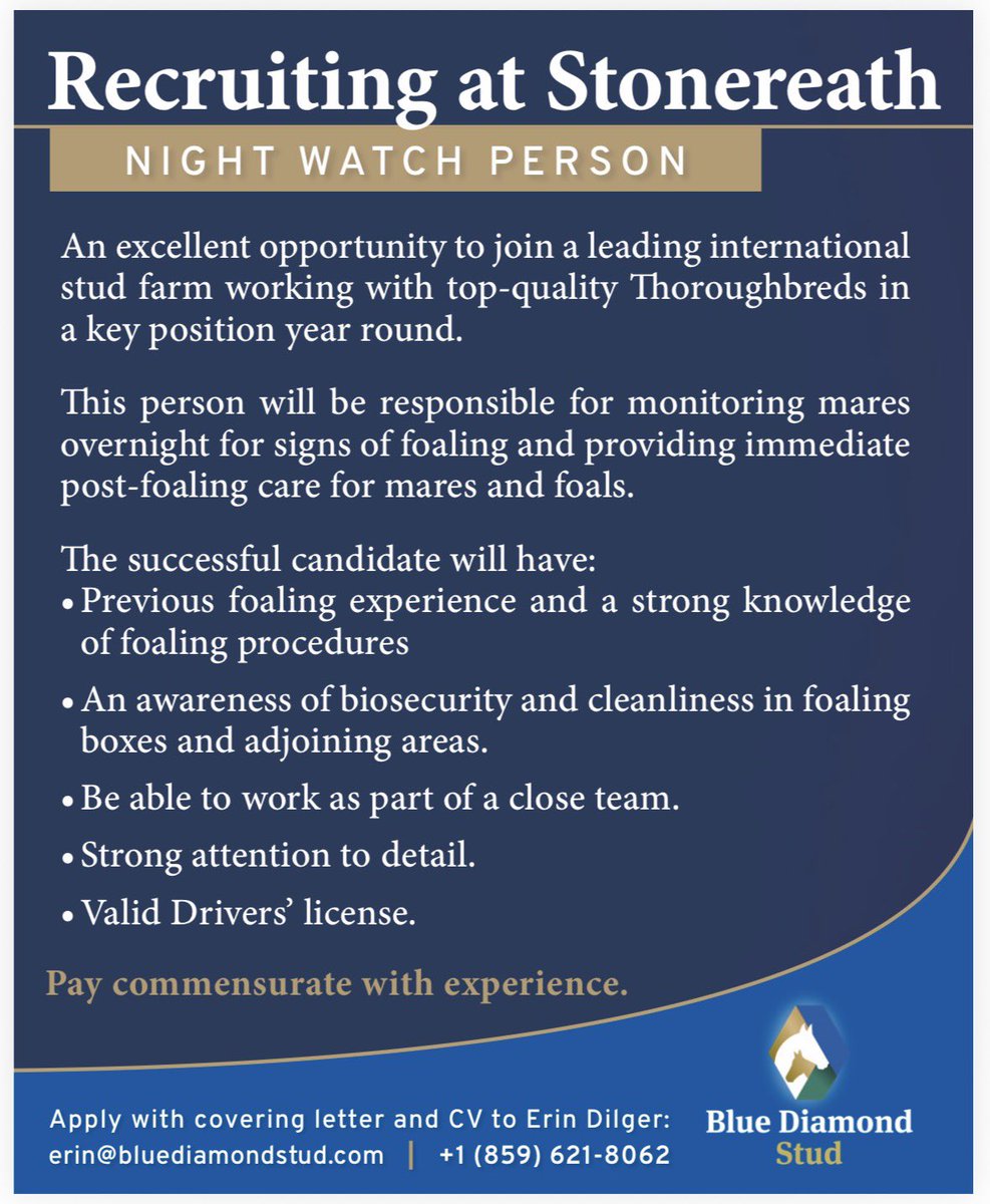 Blue Diamond Stud tweet media