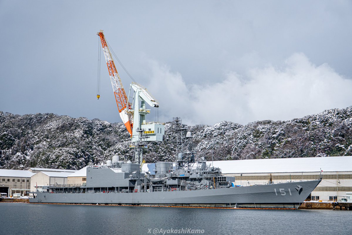 ⚓妖の類📸 tweet media