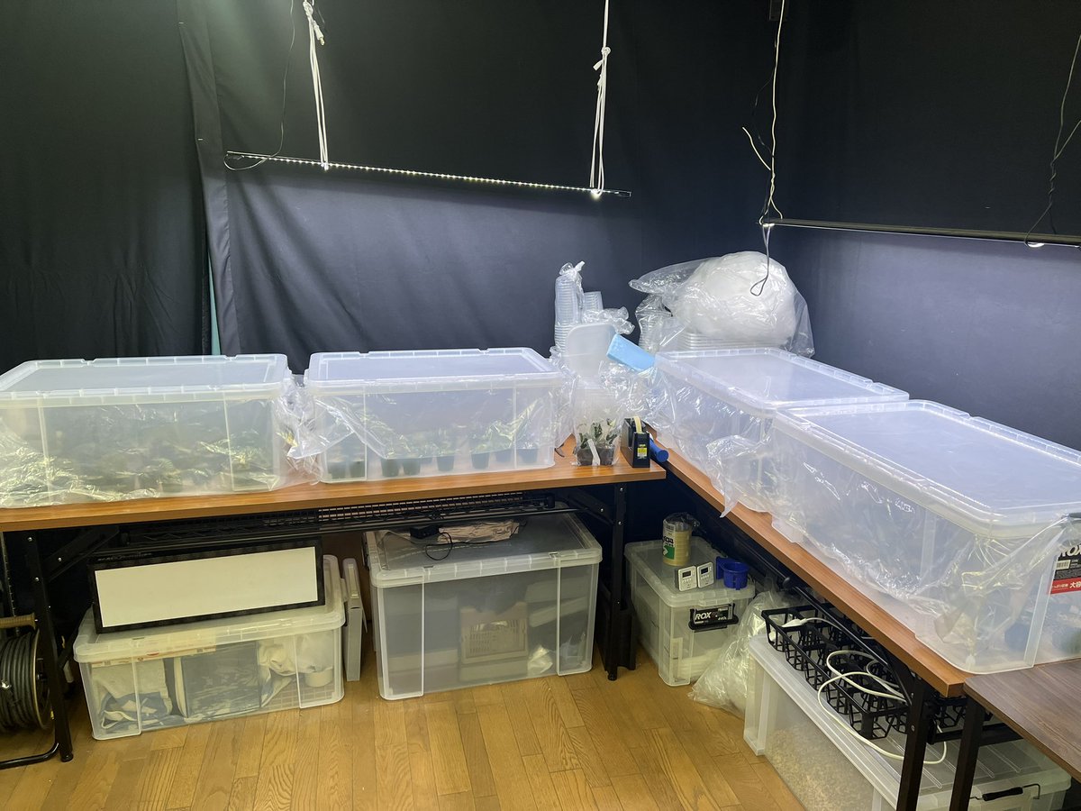 Kazuto☆大٩(ˊᗜˋ*)و阪☆ tweet media