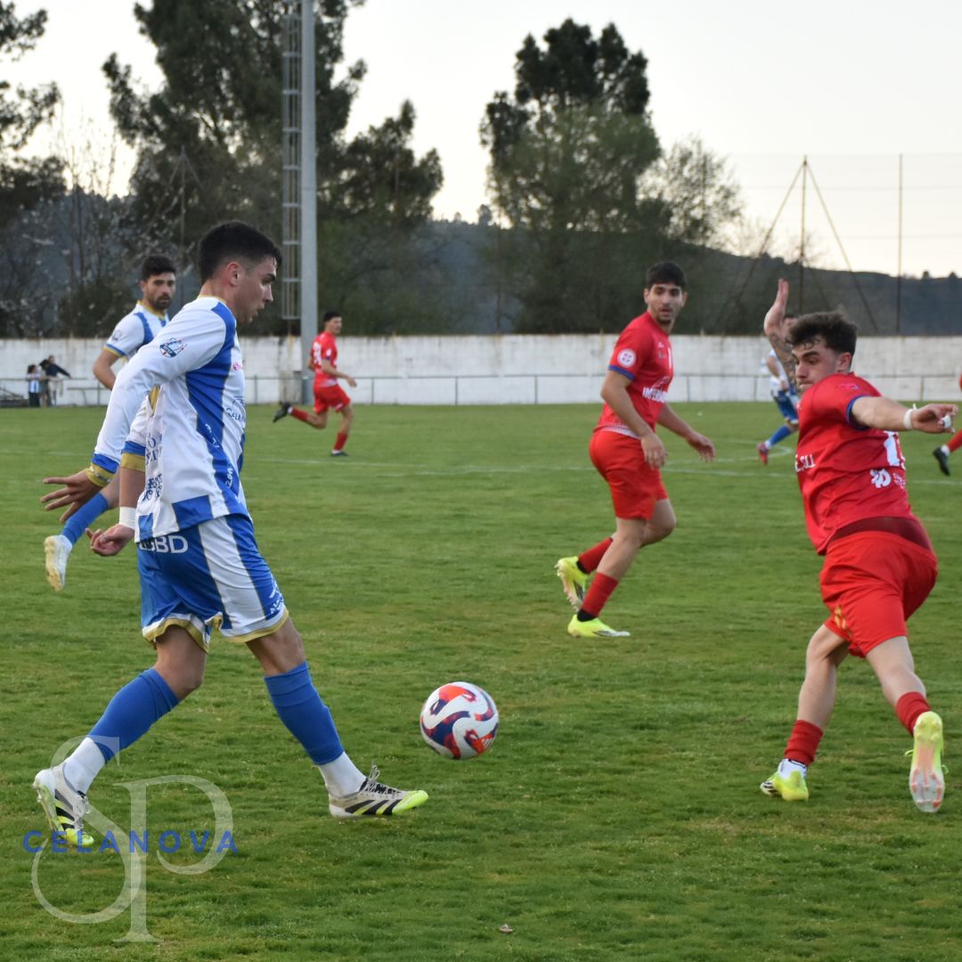 SportingCelanova tweet media