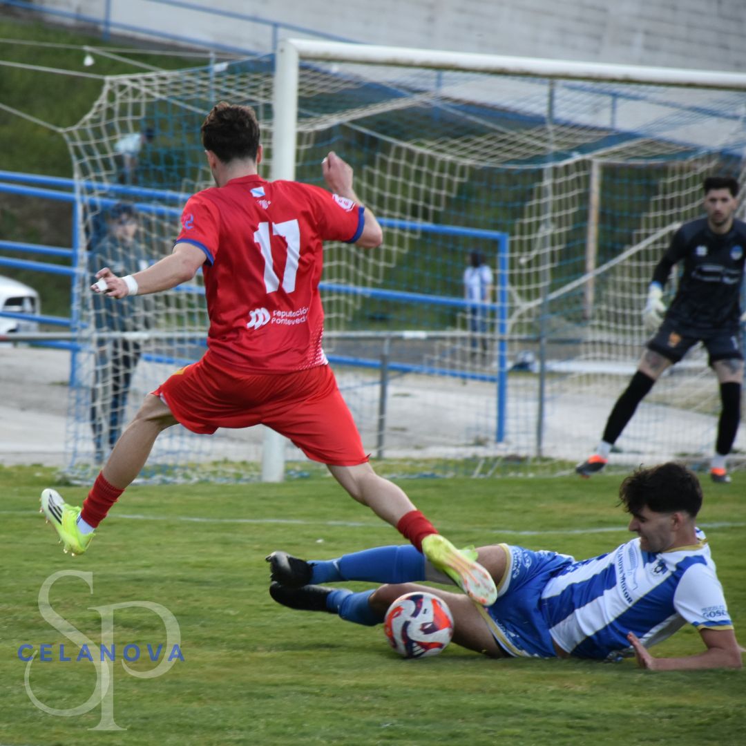 SportingCelanova tweet media