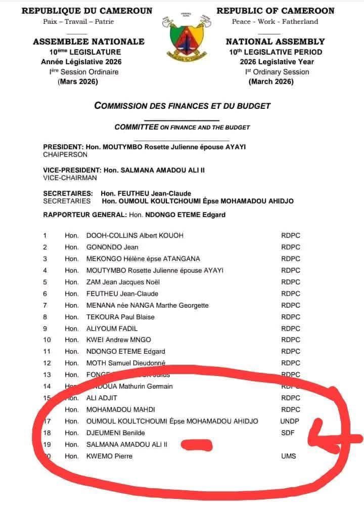 steeve 🌪 tweet media