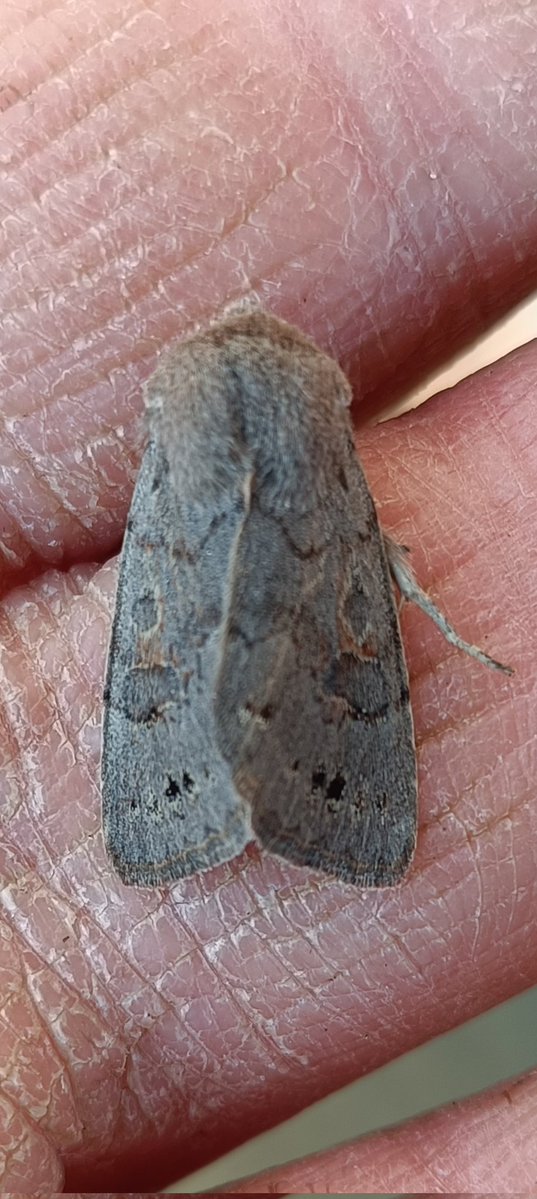 kevin stead tweet media