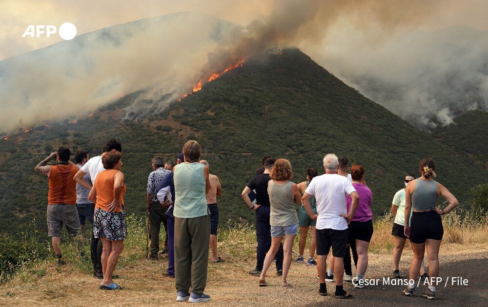 AFP News Agency tweet media