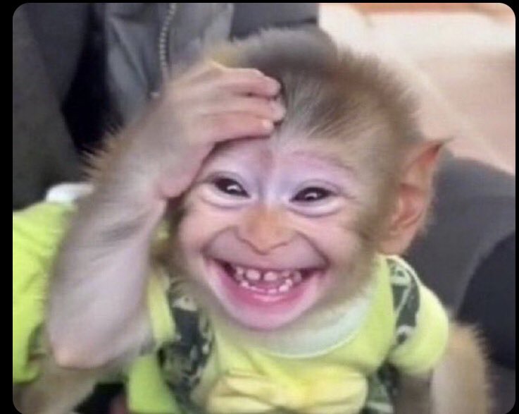 𝗩𝗜𝗡𝗖𝗘𝗡𝗧 tweet media