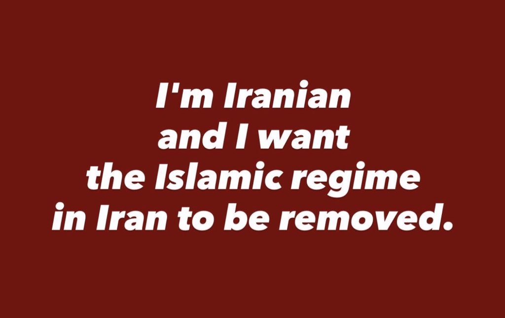 Sanaz Afshar tweet media