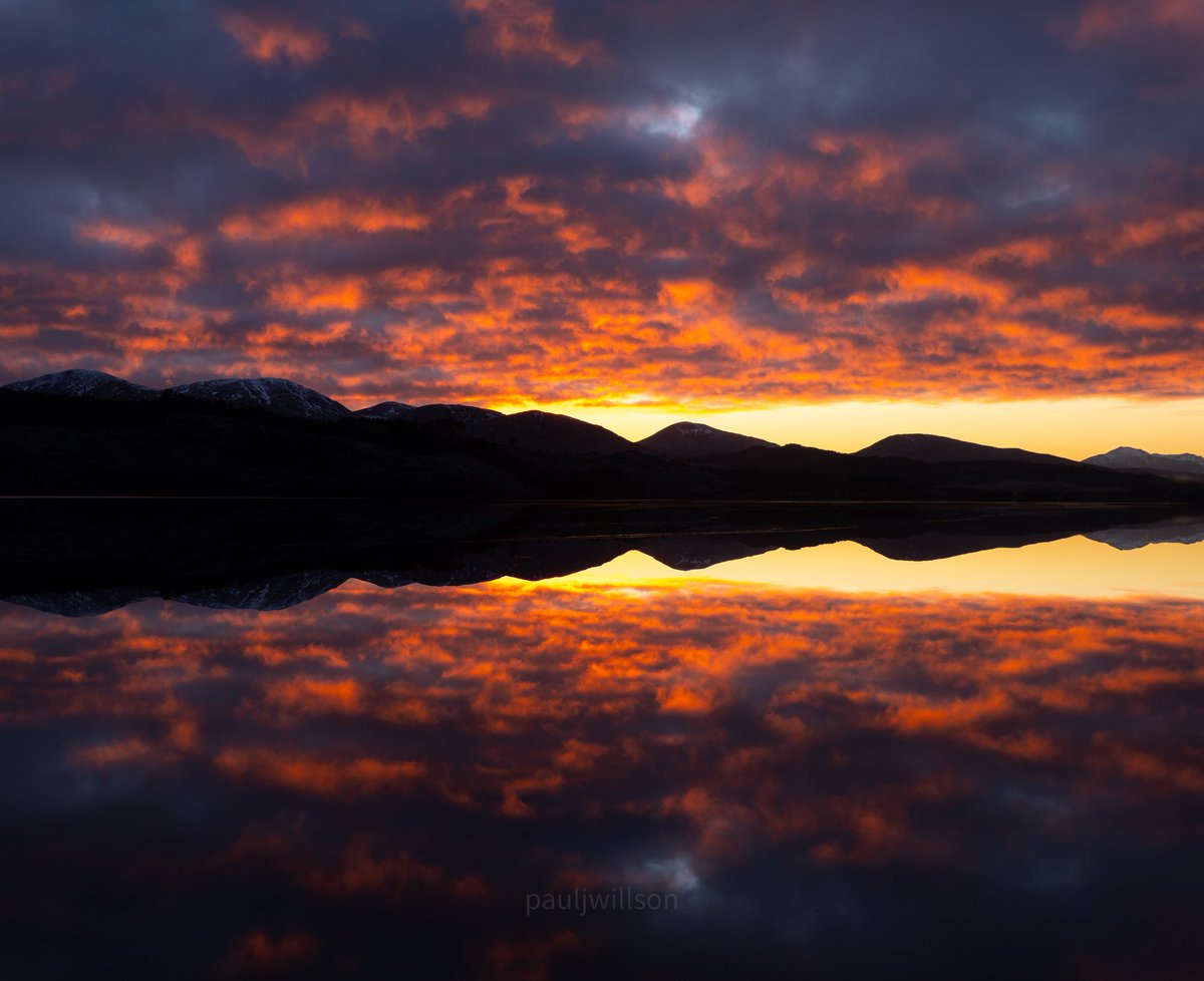 Paul Willson tweet media