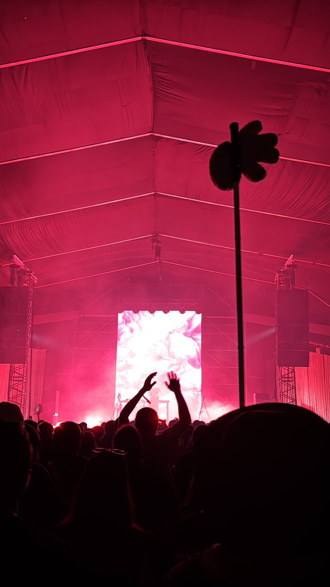 Pacho M. tweet media