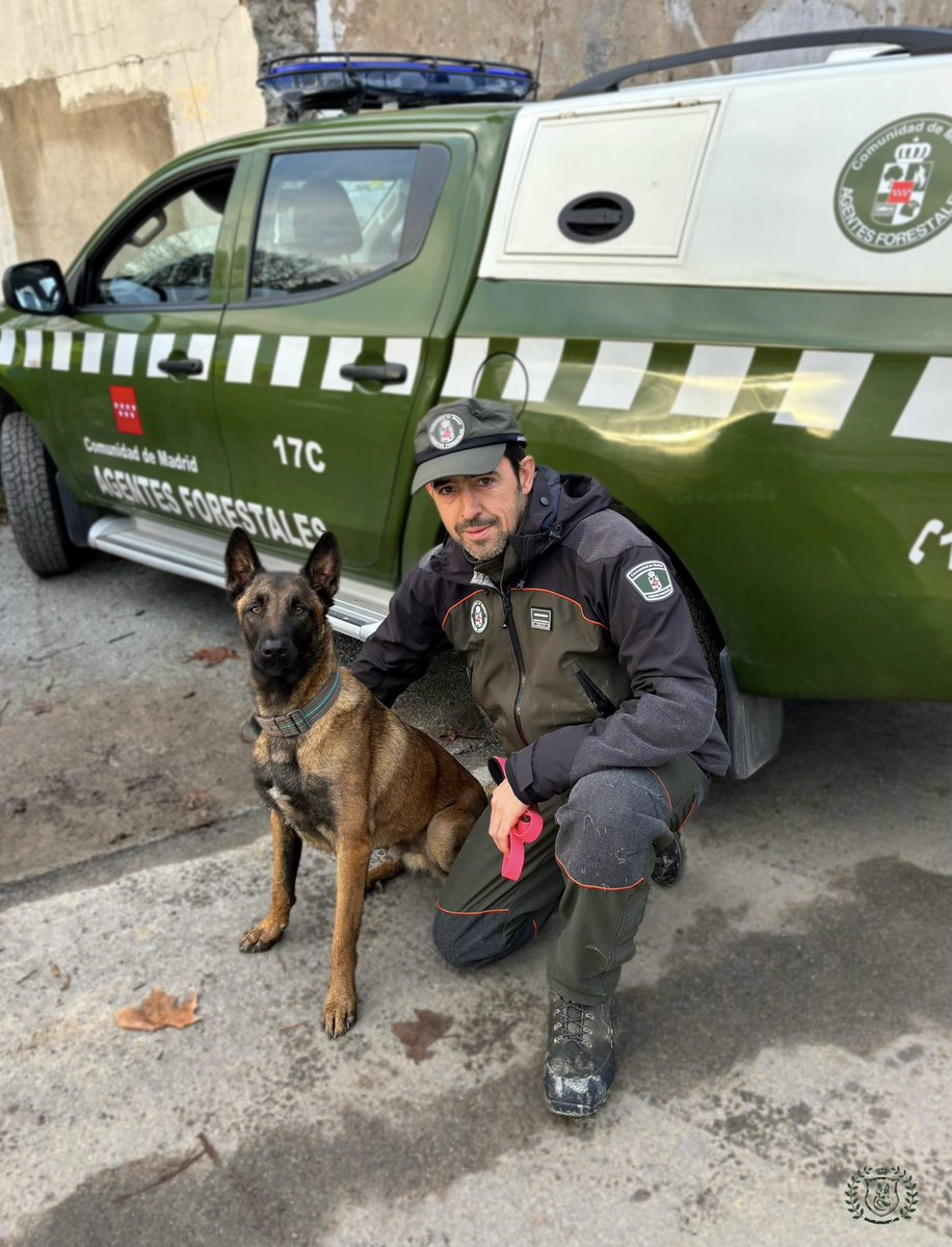 BENEMERITVM tweet media