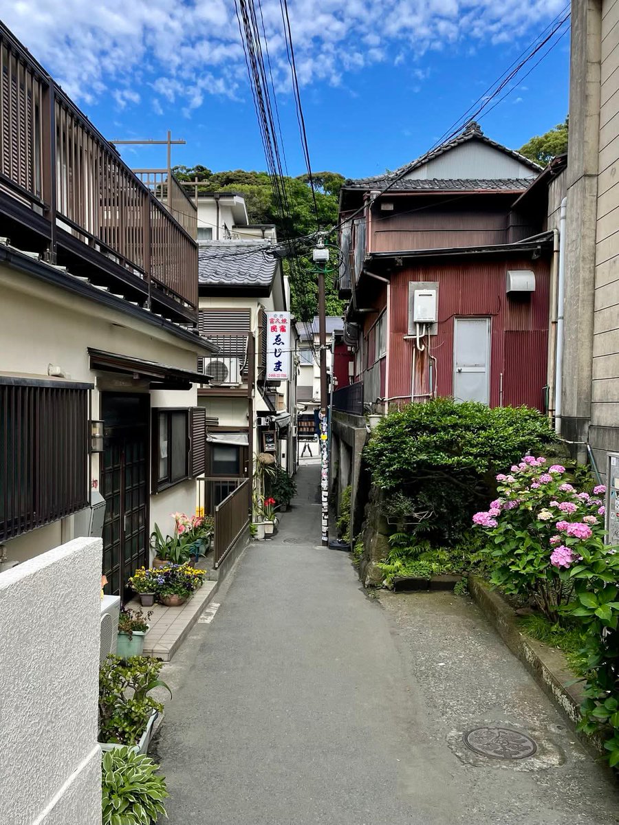 naturebeauty760's tweet photo. Japan 🇯🇵 is a dream https://t.co/30MICkfBuW