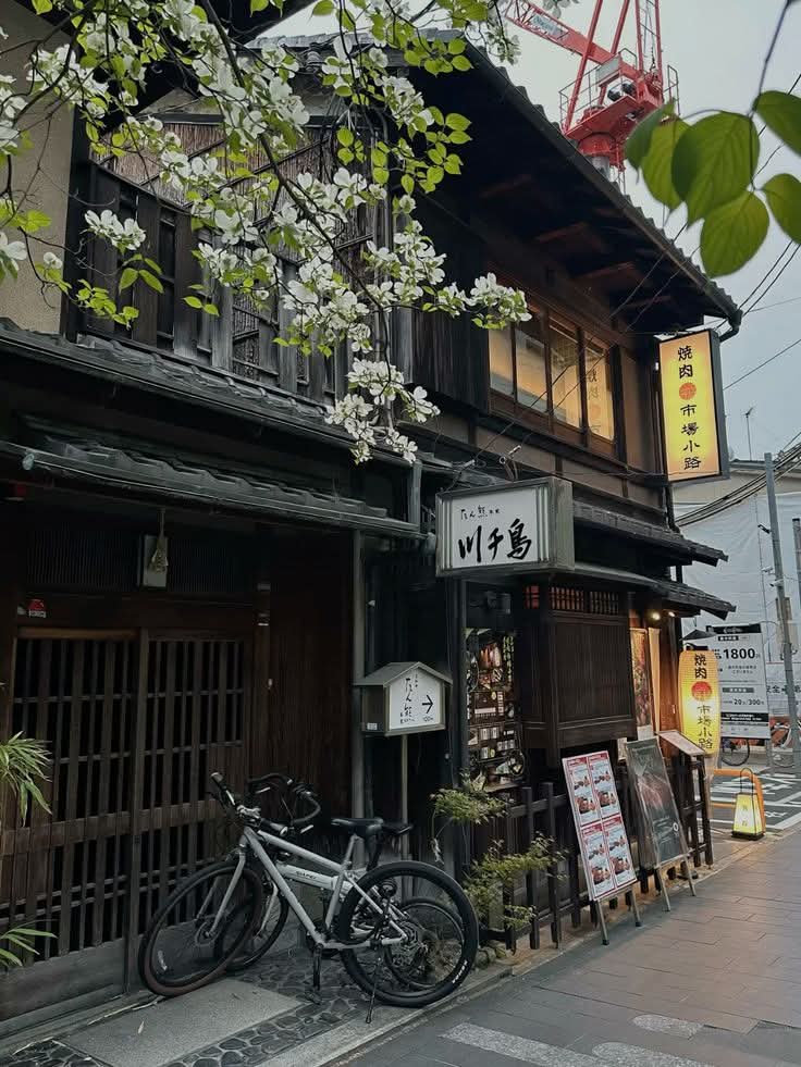 naturebeauty760's tweet photo. Japan 🇯🇵 is a dream https://t.co/30MICkfBuW