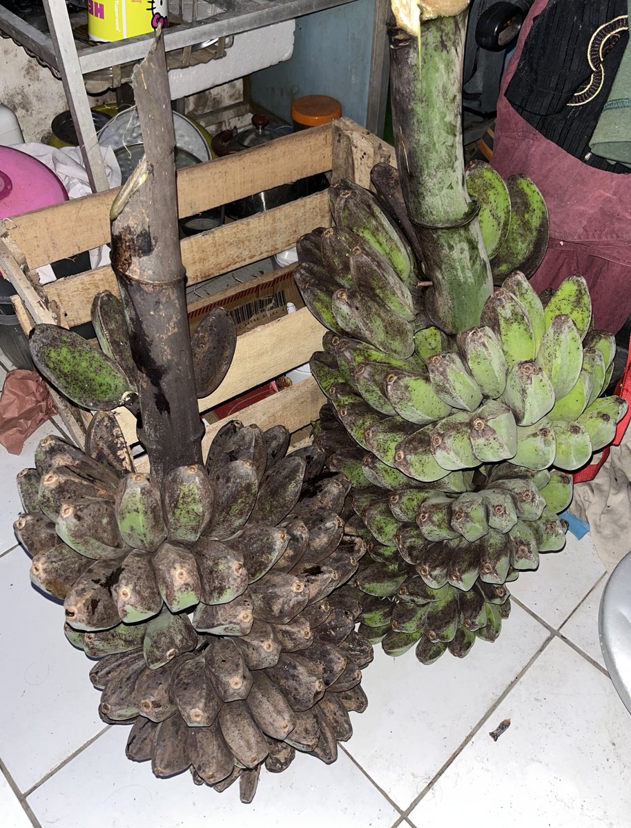 KULINERAIN tweet media