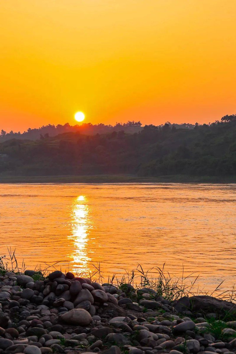 MeMan MejMan tweet media