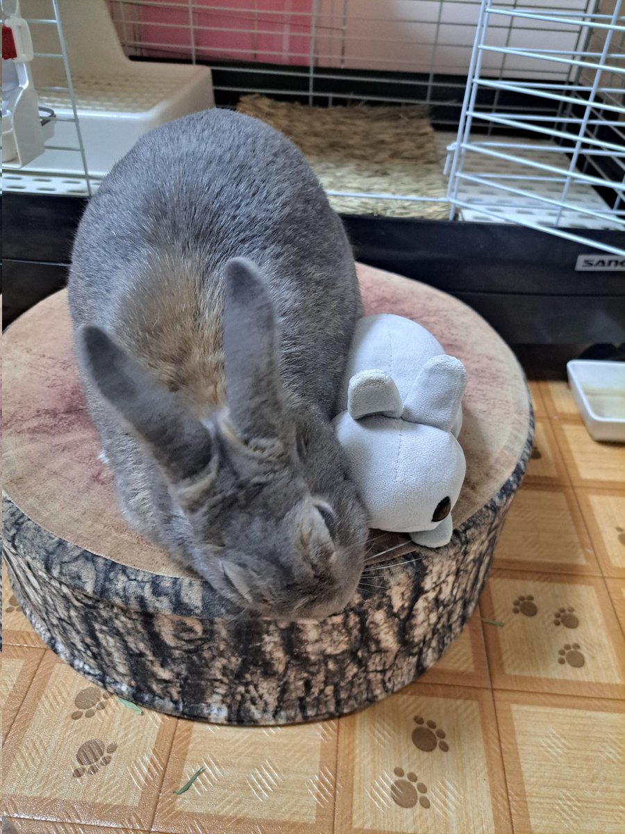 ゆうこ&ぷりん💕12月3日から仕事の為👍多め日月、金休み tweet media