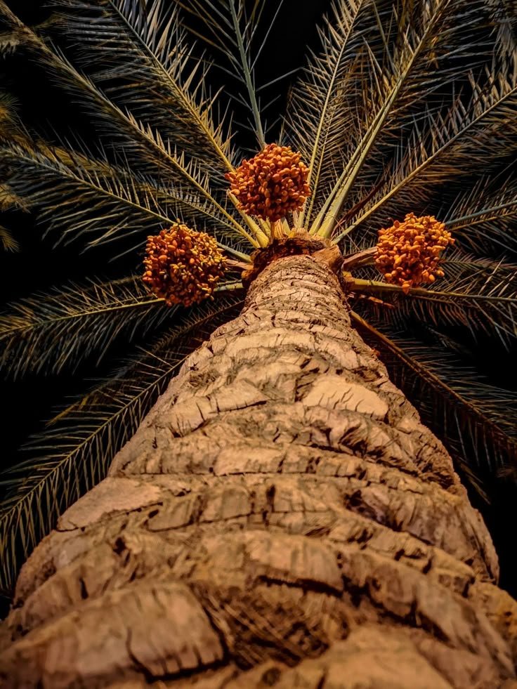 Glad tidings from a heart tweet media