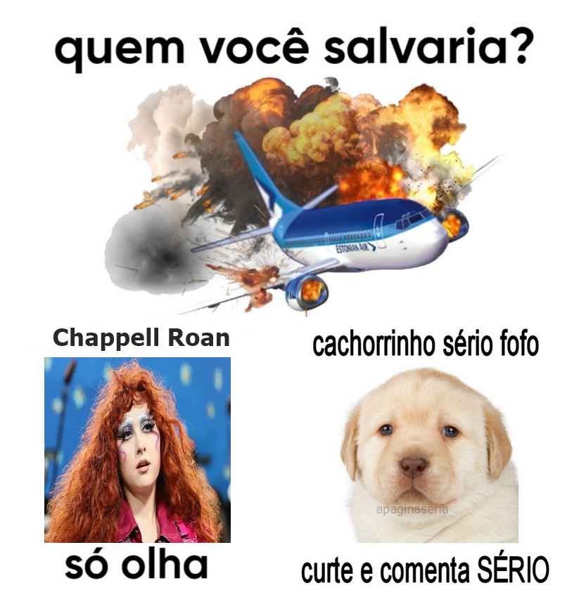 Página Séria. tweet media