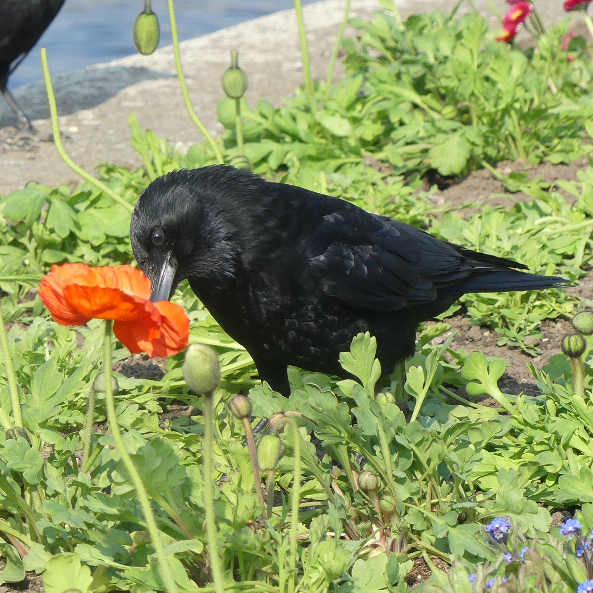 Jason Cann tweet media