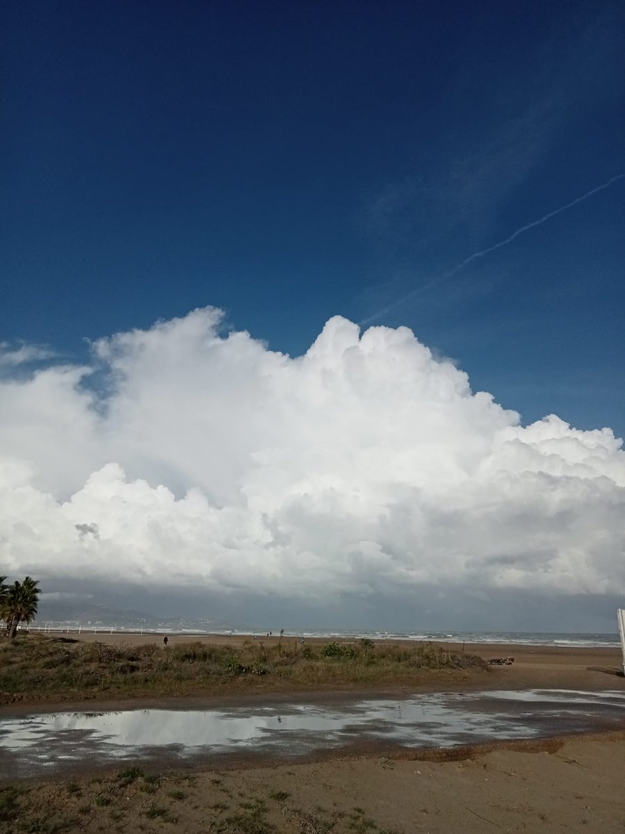 CEAM-Meteorología tweet media